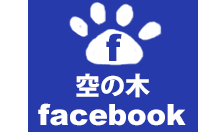 最新情報や当日の予約状況はこちら