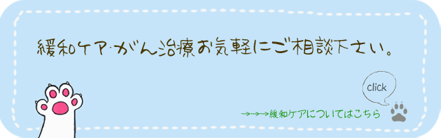 緩和ケア、がん治療、お気軽にご相談ください。