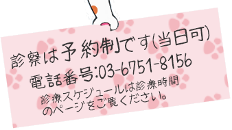 診察は基本的に予約制です。当日予約も出来ます。